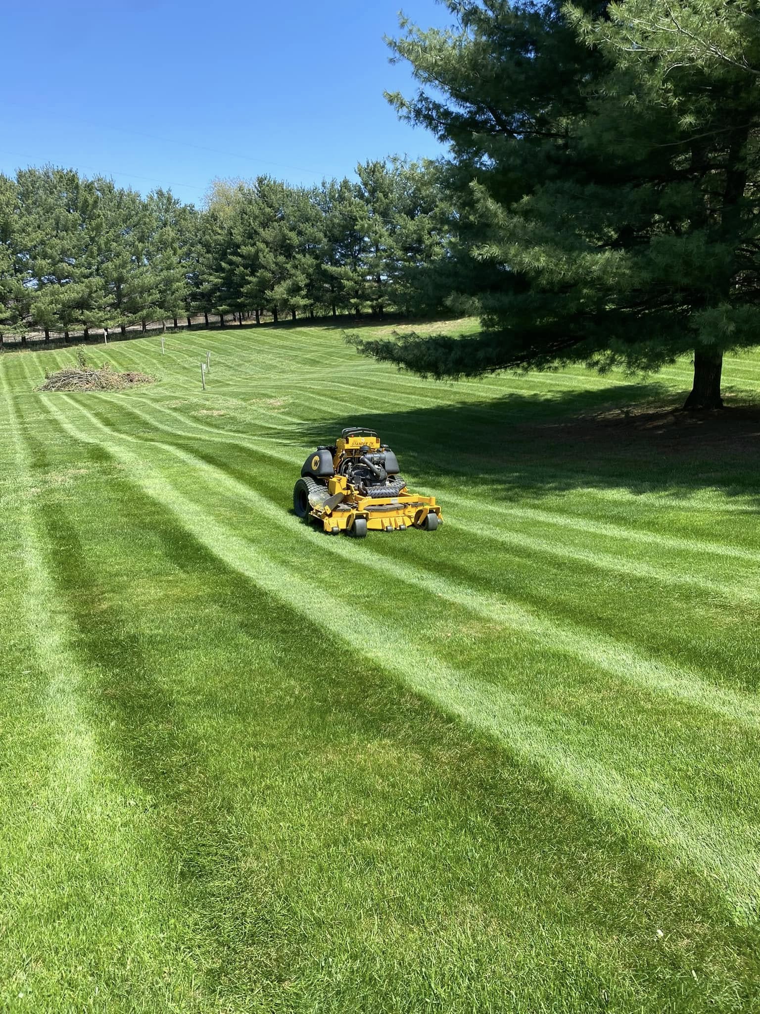 Healthy thick green lawn maintenance program result