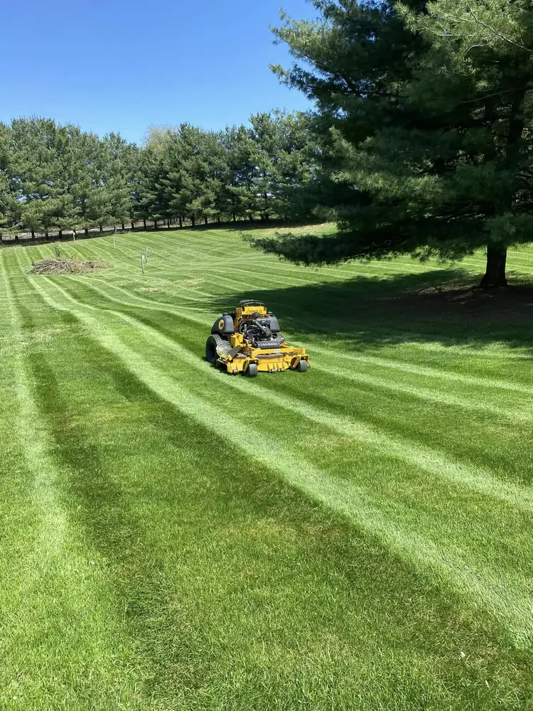 Healthy thick green lawn maintenance program result