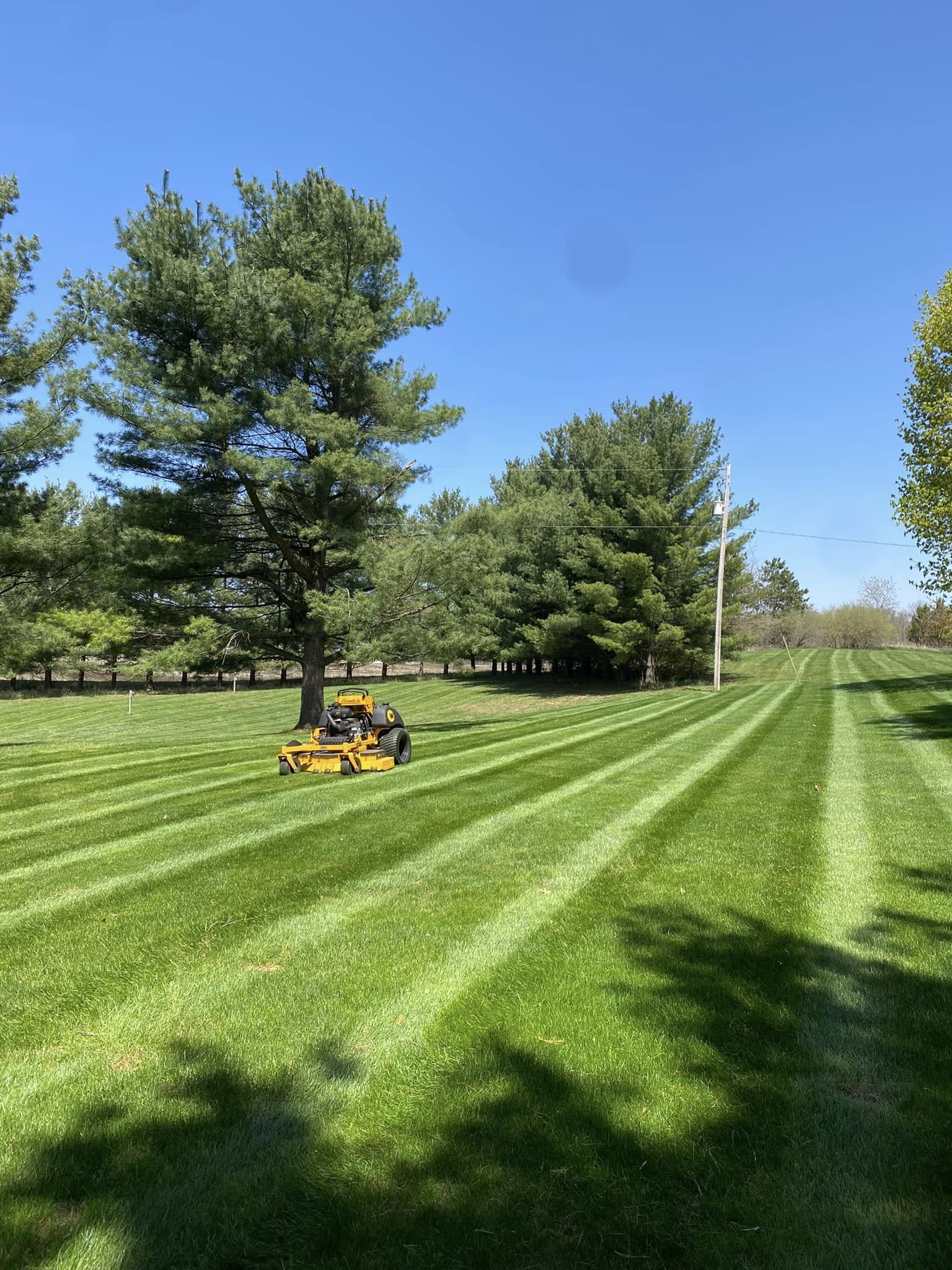 Precision lawn mowing and sidewalk trimming service