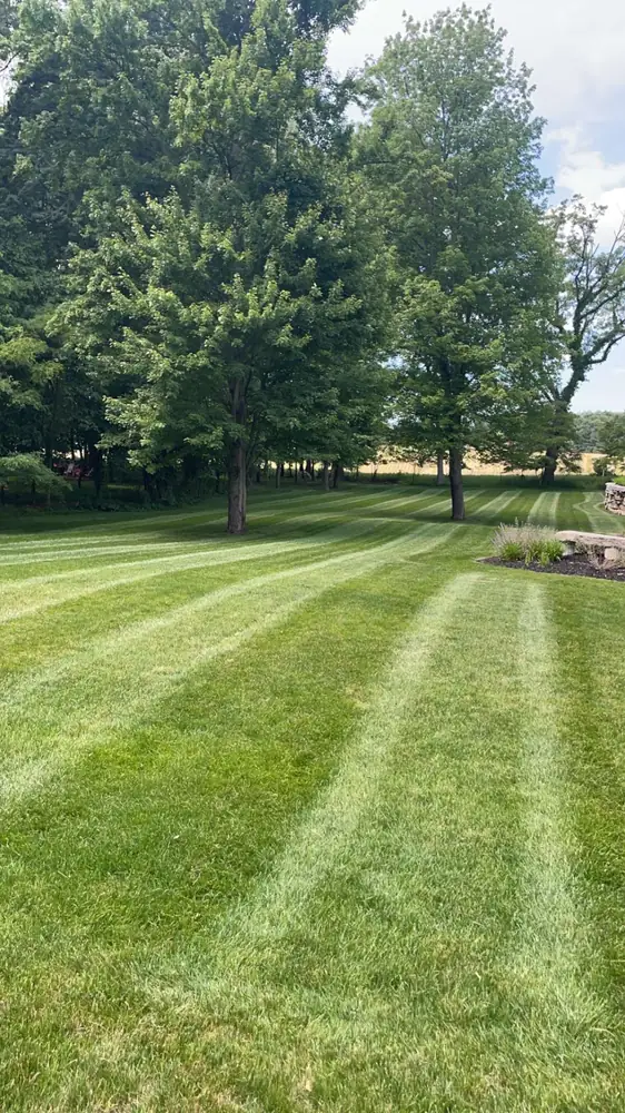 Core aeration and overseeding lawn transformation result