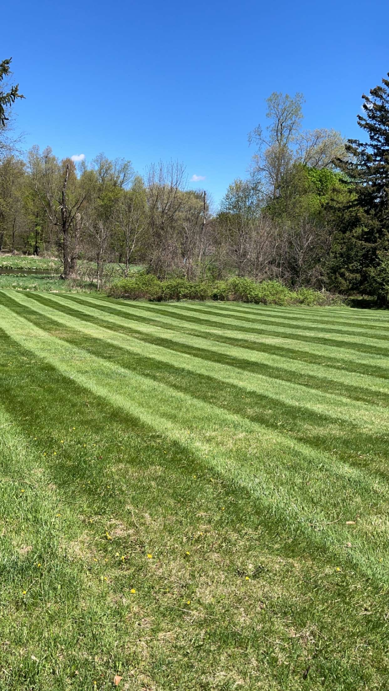 Expansive manicured lawn care project display