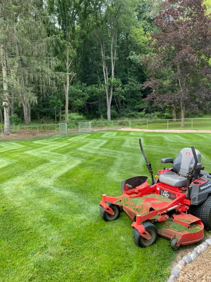 Freshly cut commercial property turf overview