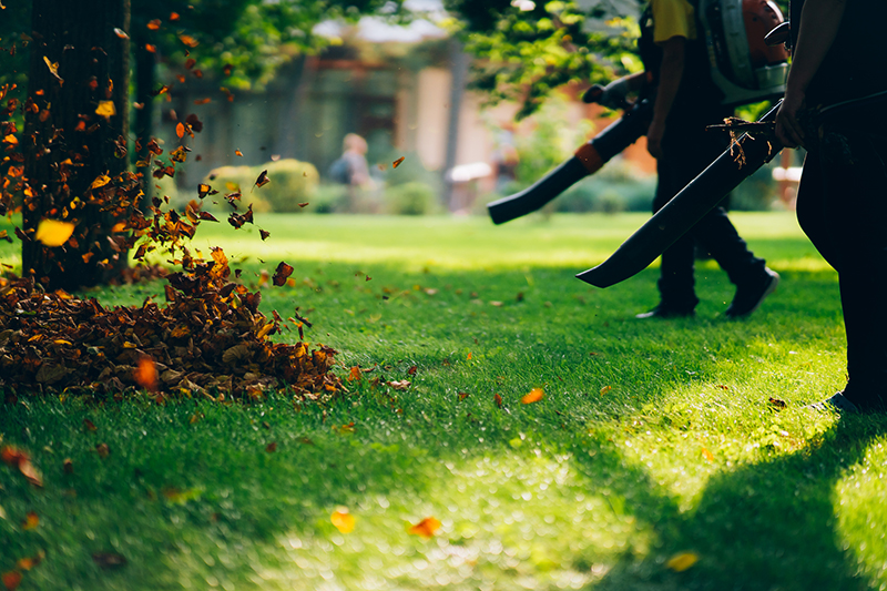 Fall debris removal and organic waste hauling by Valentine Outdoors