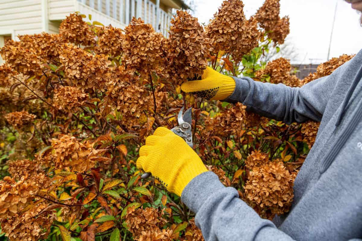 Immaculate landscaping bed edging and seasonal prep after thorough property cleanup